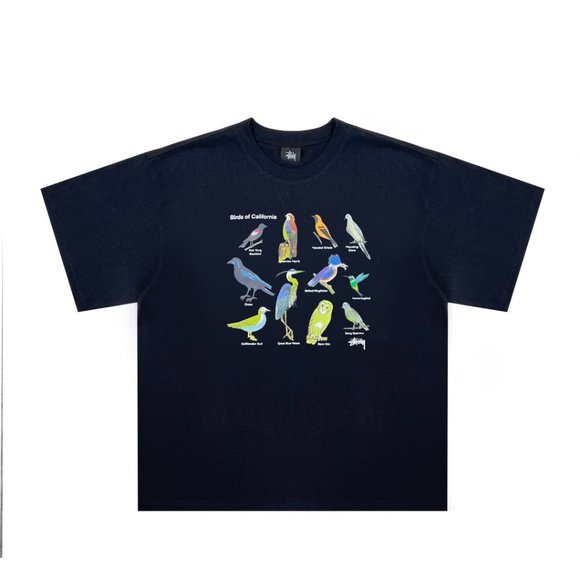 Stussy 23ss CarliforniaBirds California Birds American street short sleeve  T-shi